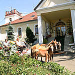 Budapest Hotel Pension Schlosshotel Tomega Vit�l-Wellness